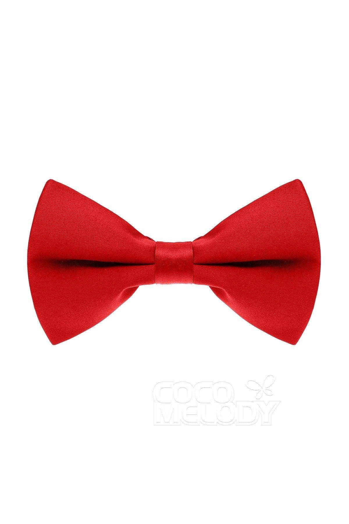 Men's Elastic Silk Like Satin Bow Ties CZ170016 - COCOMELODY